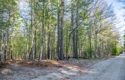 Evergreen Lane, Jay, NY 12941