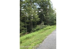 367 & 368 Sparrow Lane, Jim Thorpe, PA 18229