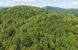 Gravely Valley Road, Eidson, TN 37731