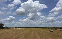 8378 W State Highway 97, Cost, TX 78614
