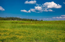 325 River Ranch Road lot: 7, Whitefish, MT 59937