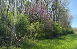 0 N Patterson Rd, Brownsville, IN 47325