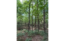 49.49+/- AC Baptist Church Road, Elizabeth, IN 47117