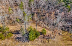 1618 Lake Cove Drive SW, Decatur, AL 35603