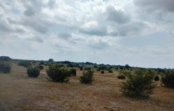514 Hollow Drive, Lipan, TX 76433