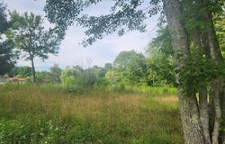 181 51st Avenue, Gruetli Laager, TN 37339