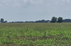 000 Lewis Road, Lexington, OK 73051
