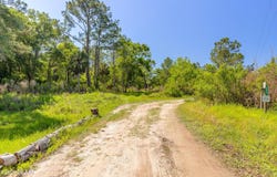 County Rd 90 E, Bunnell, FL 32110