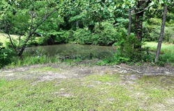 121 Polk Road 286, Hatfield, AR 71945