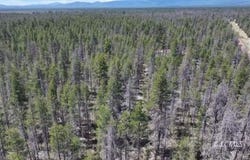 Munson Drive, Chiloquin, OR 97624