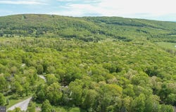 103 SUGAR MAPLE LANE, MC HENRY, MD 21541