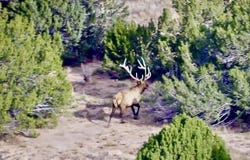 84521 CR 40.2, Branson, CO 81027