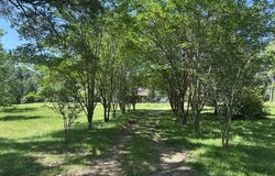 6180 Hamp Lea Road, Liberty, MS 39645
