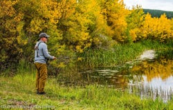BIG HORN INHOLDING, Buffalo, WY 82834