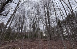 NAGLES RD, Hurley, WI 54534