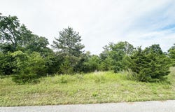 235 Shady Oaks Shore, Forsyth, MO 65653
