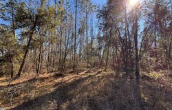 005 Brushy Hammock, Mayo, FL 32066