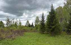 00 St Rt 8, Cold Brook, NY 13324