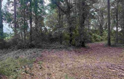3308 Deloach Ln, Milton, FL 32570