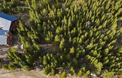 Lot 328 Eva Road, Idaho Springs, CO 80452
