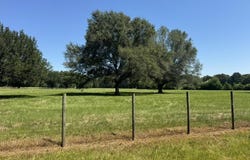 000001 Green Acres Drive, Canton, MS 39046