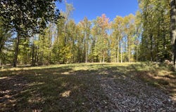 001 Olmsted Rd, Villa Ridge, IL 62996