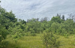 V/L E 38th Street, Idlewild, MI 49642