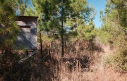 169 Johns Way, Nahunta, GA 31553