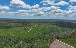 0 Collins Road, Other, GA 31554
