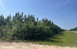 0 SE Nadine Stone Landing Road, Kinard, FL 32449