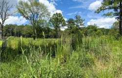 40 Anderson, Griffin, GA 30223