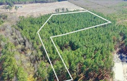 57 Eagle Nest Trail, Blounts Creek, NC 27814