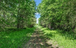 396 Lcr 510, Mexia, TX 76667
