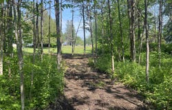 xxx Lavaque Rd, Hermantown, MN 55811
