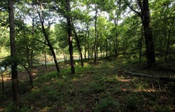 000 Drivers Creek Lane, Scotland, AR 72141