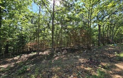 Block 12 Tall Oaks lot: 11, Pittsburg, MO 65724