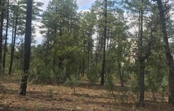 1751-1781 W Deuce Of Clubs, Show Low, AZ 85901