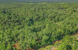 635 Quail Lane, Monticello, FL 32344