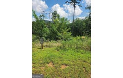 LOT 131 Lot 131 Twisted Oak #131, Ellijay, GA 30540