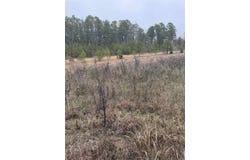 1285 goff Road, Quitman, AR