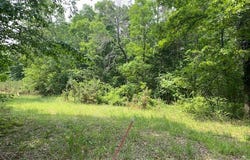 505 Yates Lane, Tumbling Shoals, AR 72546