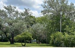 14463 S Bell Road, Homer Glen, IL 60491