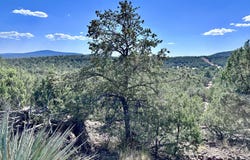 Lot 1173 N Wonderland Way, Seligman, AZ 86337