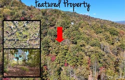 Mack Luke Road, Whittier, NC 28789