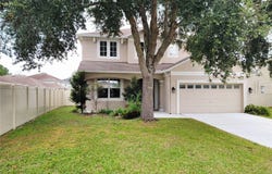 19023 NARIMORE Drive, LAND O LAKES, FL 34638