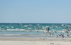 13320 2ND ST E, MADEIRA BEACH, FL 33708