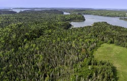 30 Wilkinson Lane, Machiasport, ME 04655