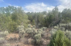 Tbd Rimrock Road, Hotchkiss, CO 81419