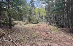 Lot 455 El Camino Real, Angel Fire, NM 87710