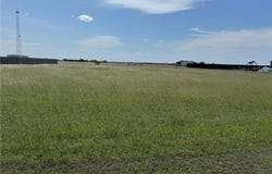 Anaqua, Orange Grove, TX 78003